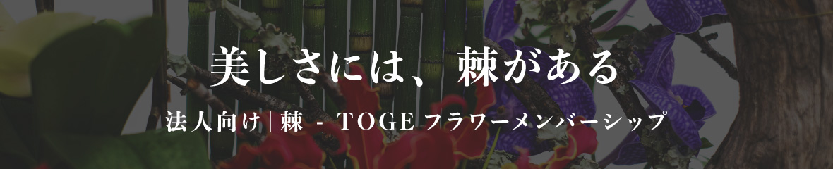 TOGE